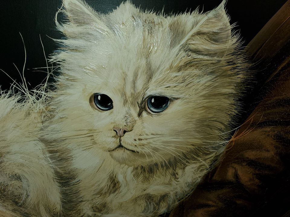 Large Persian Cat Oil Painting Artist Letterman 48 x 60 Long