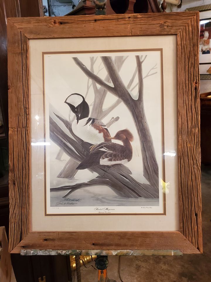 JOHN RUTHVEN Artist Proof Framed Art HOODED MERGANSERS Long Valley
