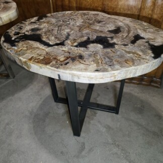 Petrified Wood Side Table - Thick Heavy Large Piece - Metal Base